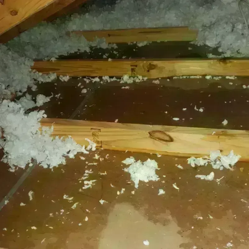 Attic Water Damage in Tylertown, MS