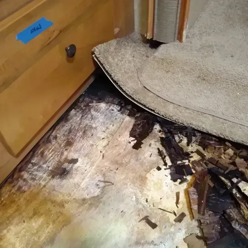 Wood Floor Water Damage in Tylertown, MS